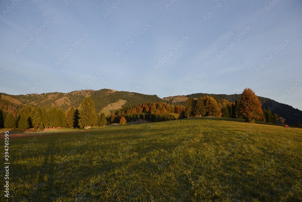 Fototapeta premium Herbstwald und Wiese