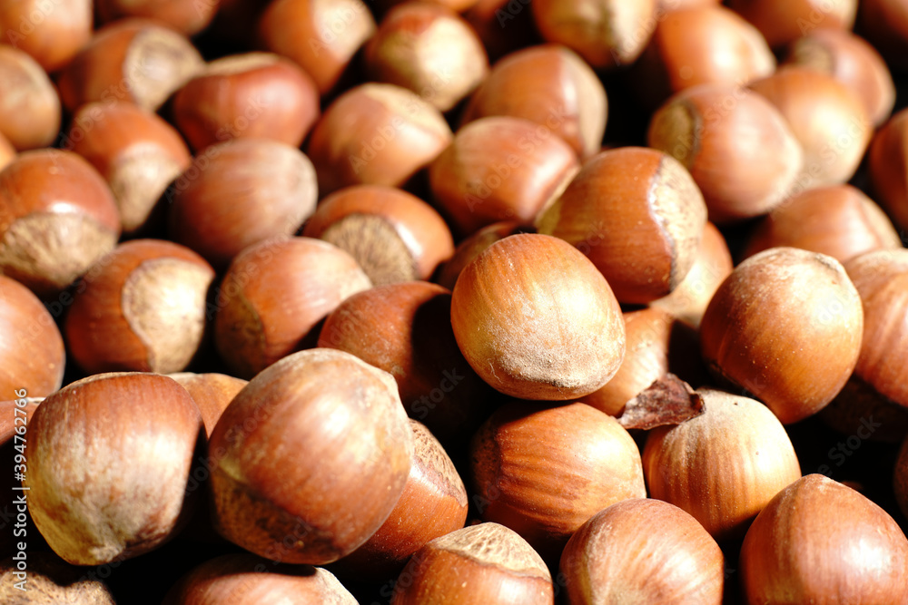 Hazelnut. Nuts in their shells. Dim lights. Hazelnut. Nuts in their shells. Dim lights.