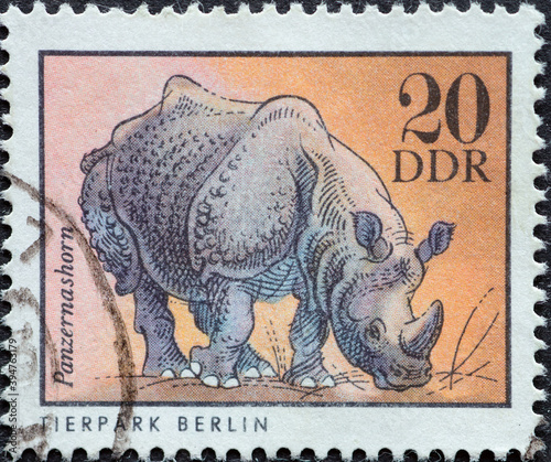 GERMANY, DDR - CIRCA 1975 : a postage stamp from Germany, GDR showing an Indian rhinoceros (Rhinoceros unicornis) from the Berlin Zoo photo