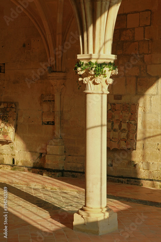 Abbaye de Fontdouce en Charente-Maritime France photo