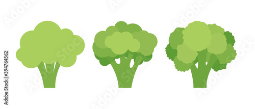 Set of three broccoli isolated on white background. Vector illustration photo