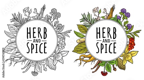Circle shape with herb and spice engraving on white