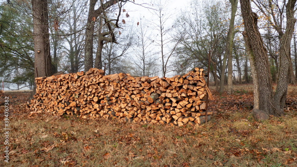 Firewood stacked in a wooded area in autumn