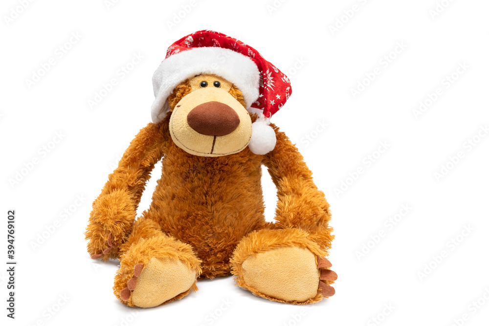 Teddy bear in a Christmas hat on a white background. Teddy bear in a Christmas hat on a white background.