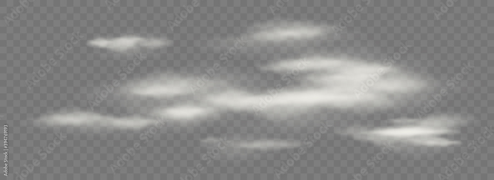 Fototapeta Vector realistic transparent isolated cloud. Cloudy fluffy sky illustration. Storm, rain cloud effects