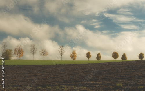 On a hike in the morning at autum in dabelow Mecklenburg-West Pomerania Germany Europe