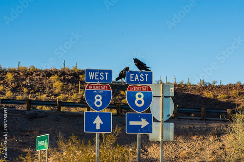 SONORA, ARIZONA: The traffic signs in Arizona-Sonora Desert photo