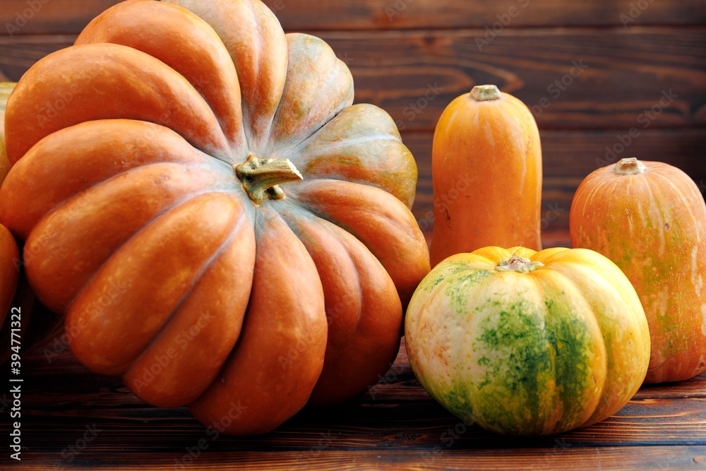 Colorful pumpkins on brown wooden background front view