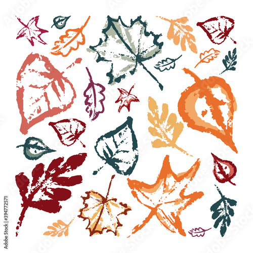 Hand drawing abstract elements of the autumn season. Warm colors, stylish compositions of leaves, mushrooms, cones, berries. Autumn mood, cozy autumn and minimal design.