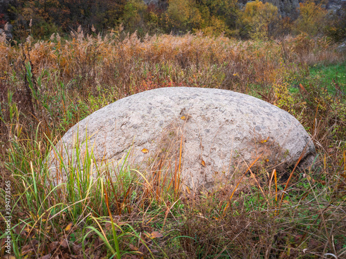 giant stone in grass like a egg of dinosaur 