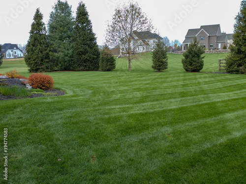 Nicely Mown Green Lawn