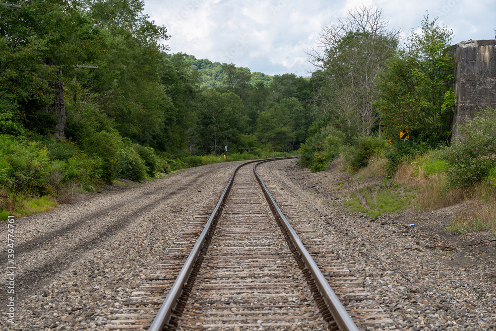 Railroad Tracks in the Forest