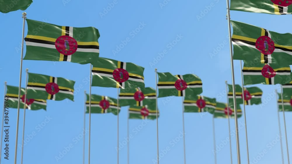Dominica Row Of National flags Walk Throw Animation