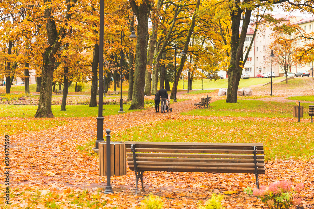 autumn in the city park with a bench 