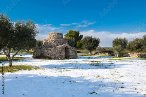 Cuadro en lienzo Beautiful trullo with olive grove in the snow, Manduria, Salento, apulian landscape after a snowfall, unusual cold winter in Puglia
