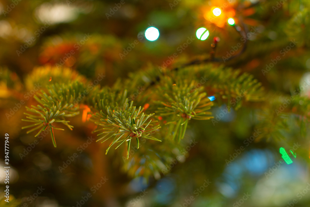 Christmas fir tree on blurred background. Close up. Selective focus. Christmas fir tree on blurred background. Close up. Selective focus.