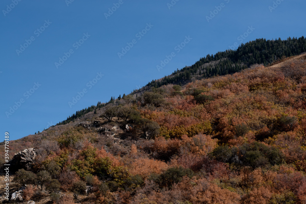 Autumn Mountainside