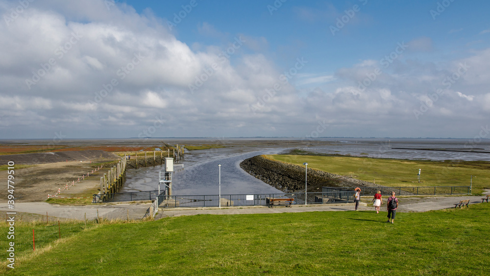Obraz premium Deich bei Everschopsiel, Nordfriesland