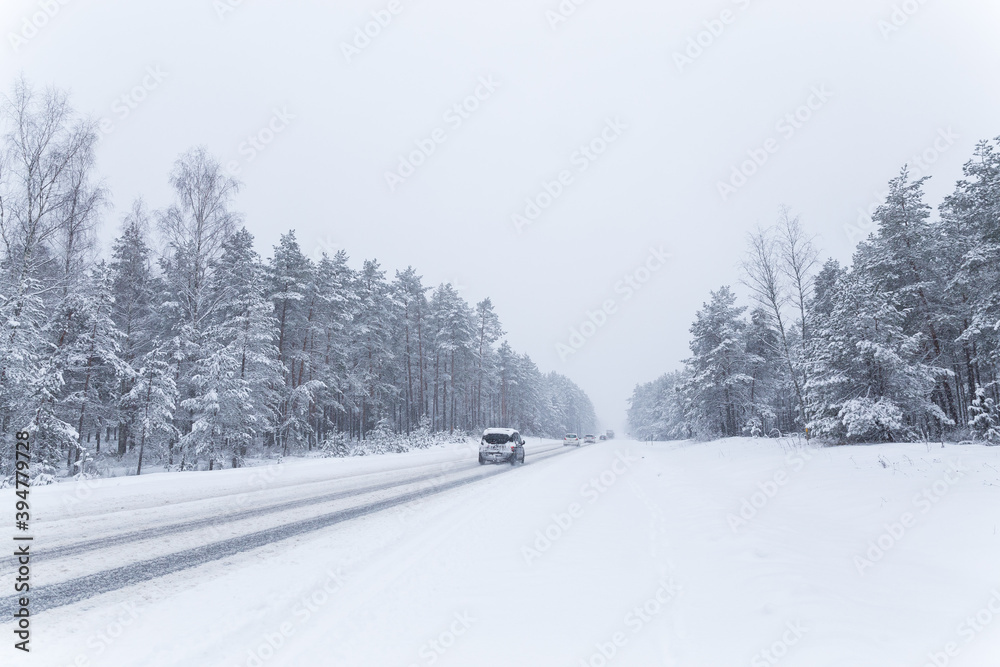 winter road in the forest winter road in the forest