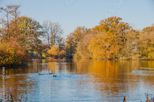 Ein Herbsttag im Hermann -Löns-Park Hannover