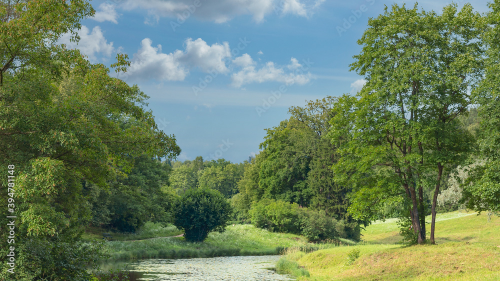 view of a sunny lawn on the bank of a river among lush vegetation in a country park in the suburbs of St. Petersburg, Russia