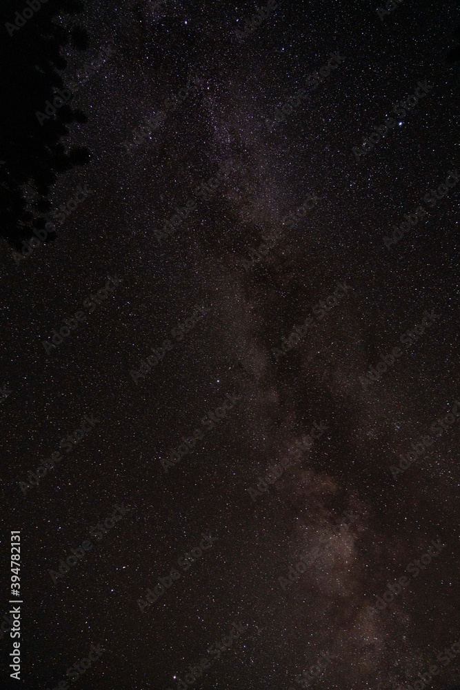 Milky Way sky camping in forest