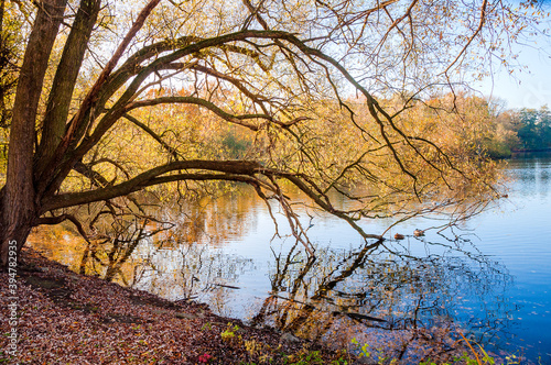 Ein Herbsttag im Hermann -Löns-Park Hannover