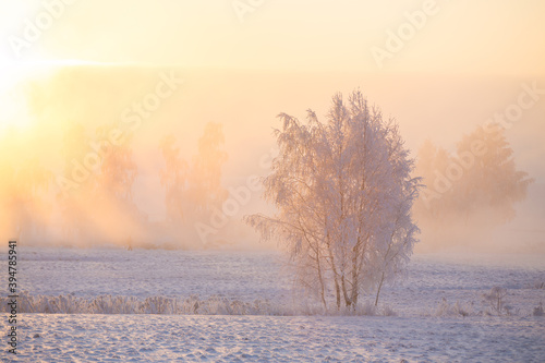 Winter wonderland © alexugalek
