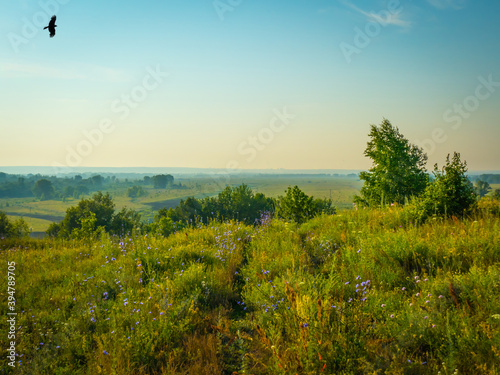 Fototapeta A grassy road on a hilltop under a clear blue summer sky
