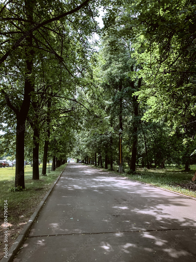 alley in the Russian park 