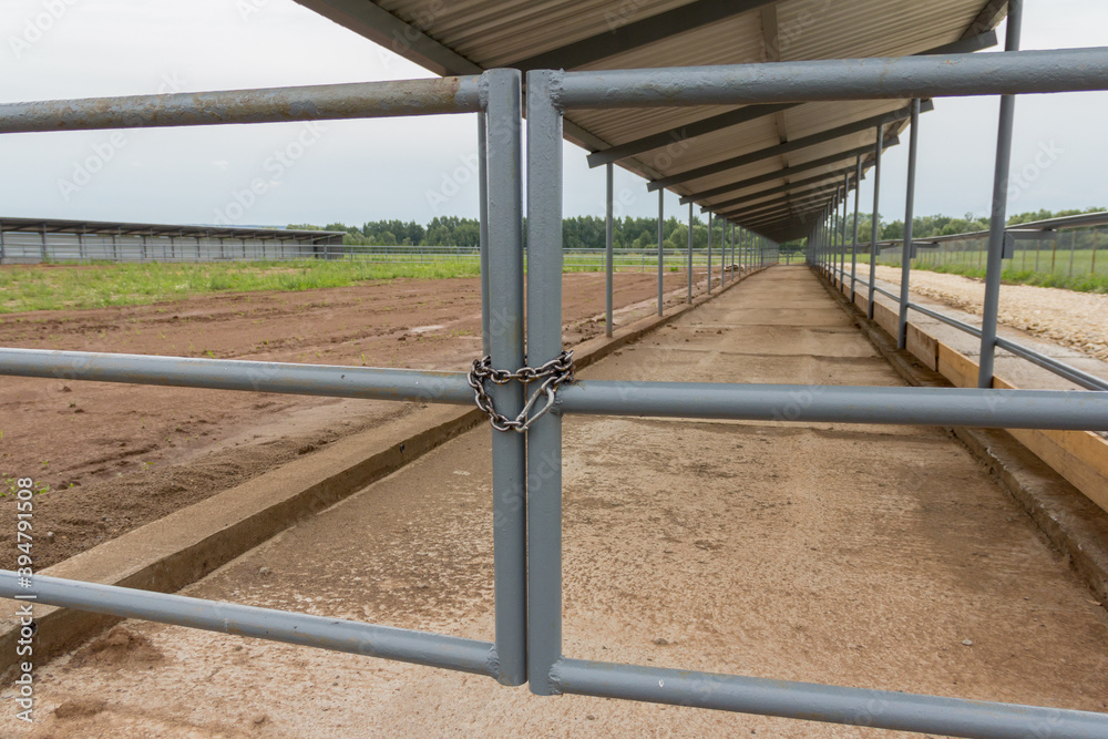 New canopy for cows. Agricultural buildings on the farm. New canopy for cows. Agricultural buildings on the farm.
