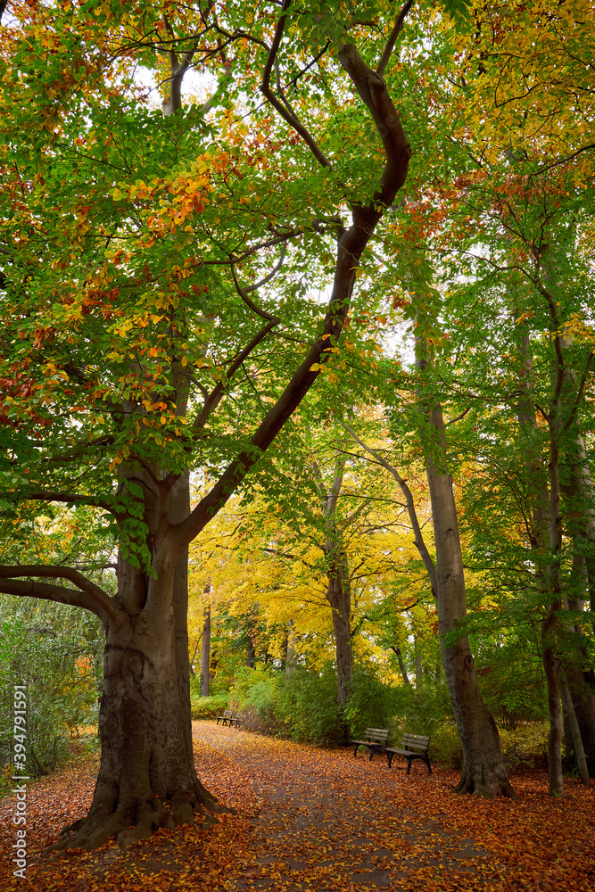 Naklejka premium Park in Fürth Germany during autumn season.