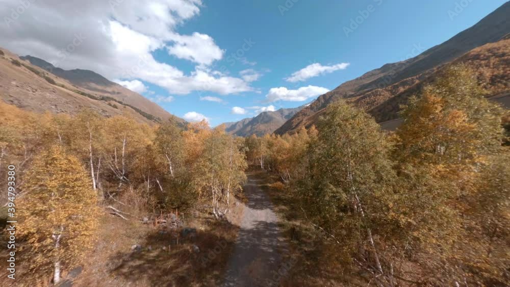 Close speed flight over picturesque Azau glade with empty ground road and autumn trees under blue sky with clouds on sunny day sport drone fpv cinematic aerial shot. Close speed flight over picturesque Azau glade with empty ground road and autumn trees under blue sky with clouds on sunny day sport drone fpv cinematic aerial shot.
