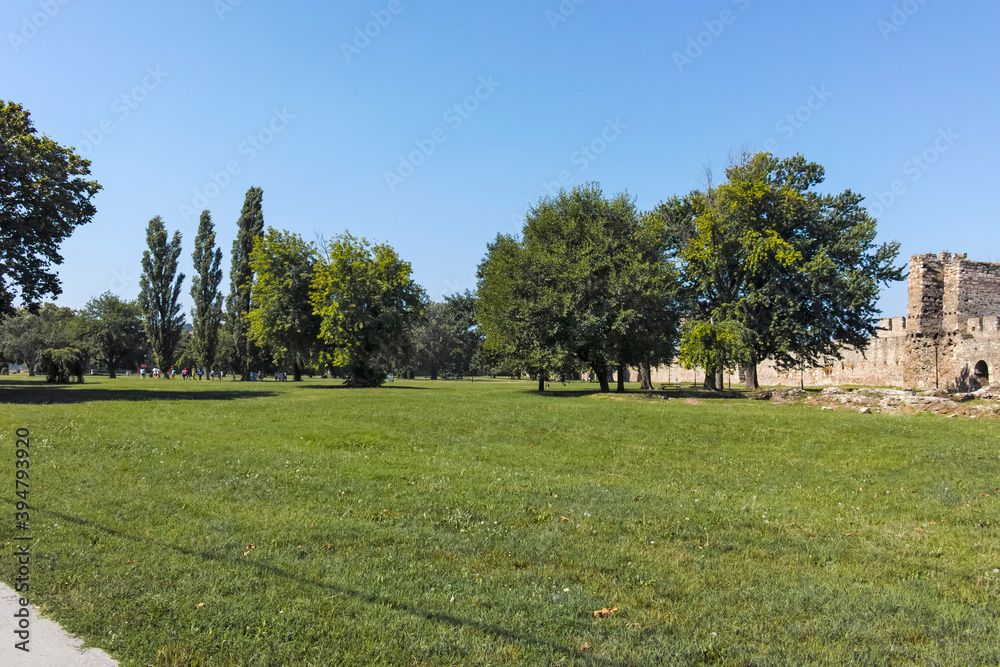 Ruins of Smederevo Fortress in town of Smederevo, Serbia