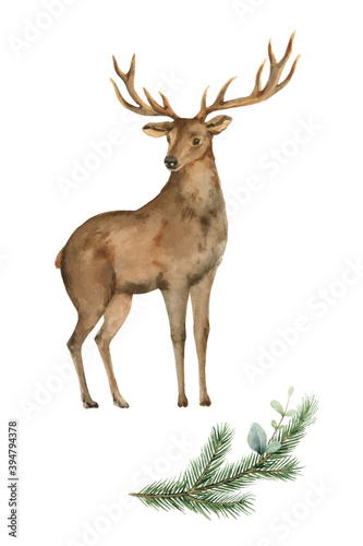 Watercolor vector card with a deer and a fir branch. © ElenaMedvedeva