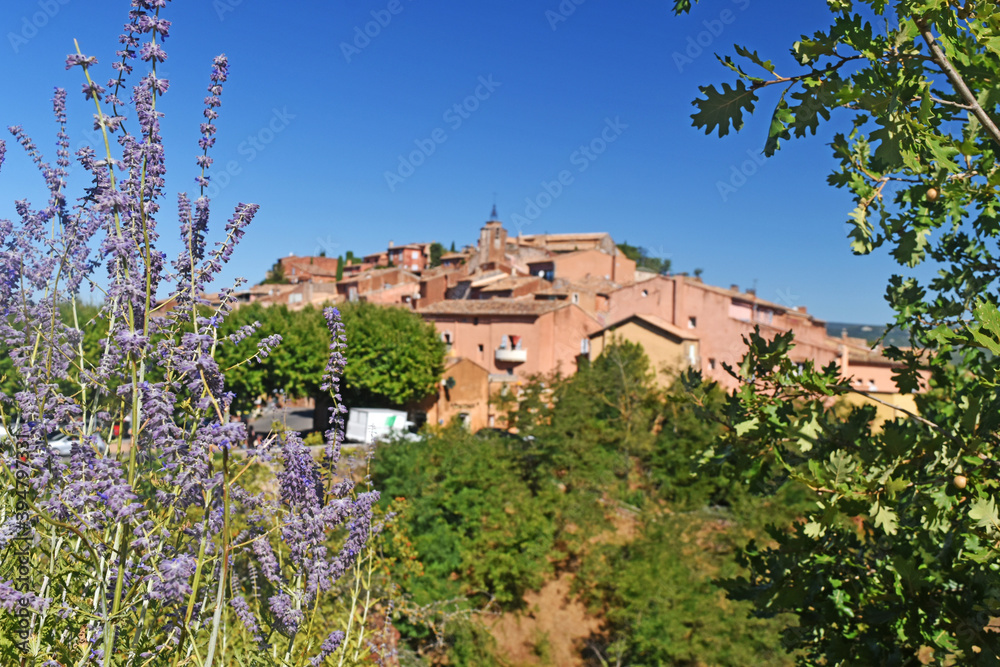 Lavande et le village de Roussillon en Provence