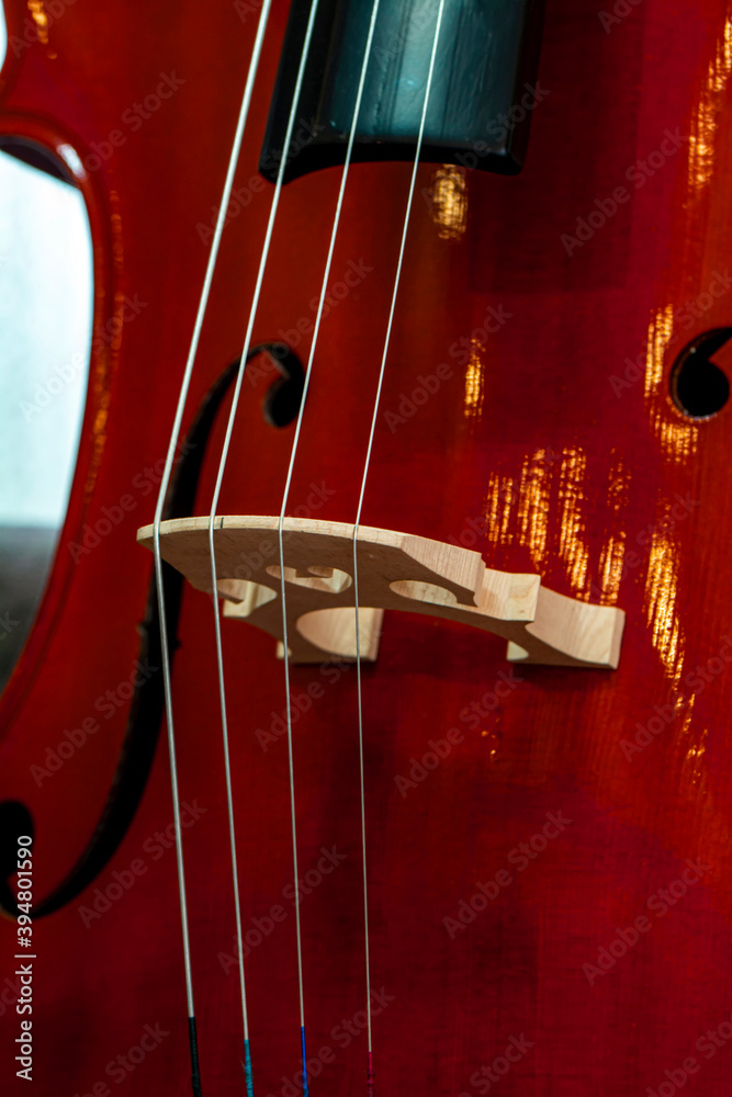 Close up of bridge, violin part .
Closeup of part string instrument cello with snares and bridge.
Close up of bridge, violin part .
Closeup of part string instrument cello with snares and bridge.