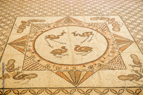 En Gedi Ancient Synagogue floor mosaic