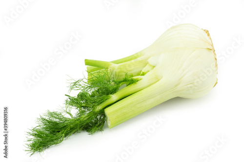 Close up fresh fennel bulb isolated on white background (Foeniculum vulgare)
