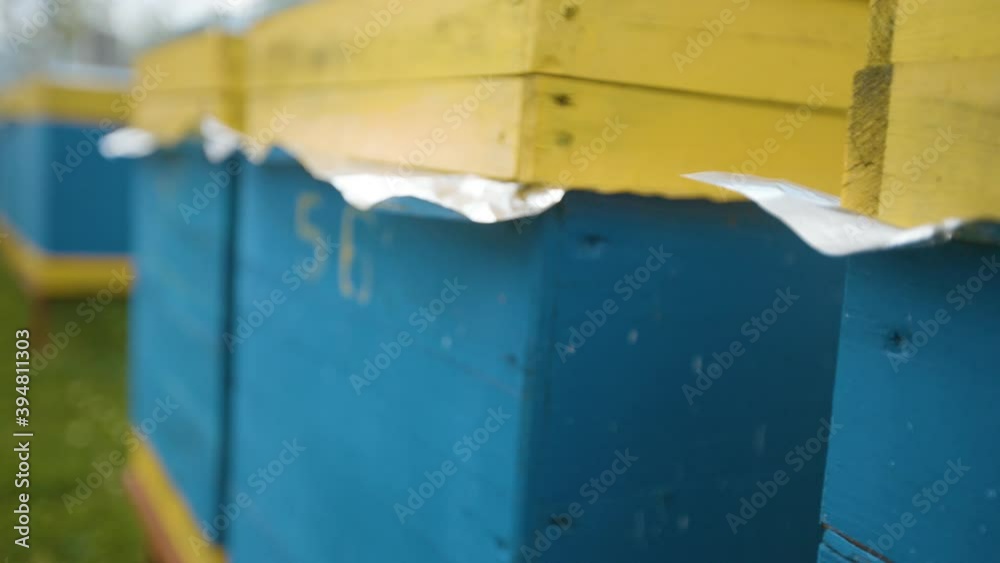 Numbered hives on the pike. Industrial beekeeping. Numbered hives on the pike. Industrial beekeeping.
