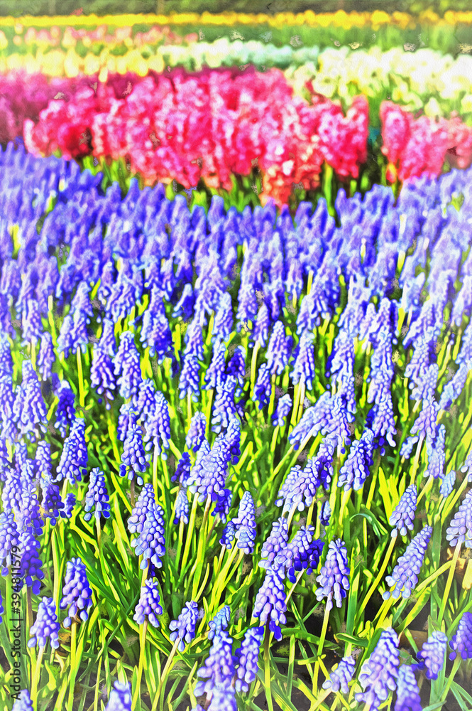 Obraz premium Beautiful flowers colorful painting looks like picture.