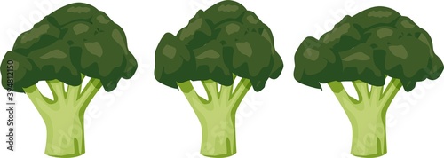 Illustration of healthy food, Broccoli. on a white background