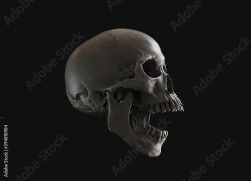Human skull in profile on a black background. Print, material for design. T-shirt, wallpaper and background concept. The concept of death, horror. Spooky Halloween symbol. 3D illustration.
