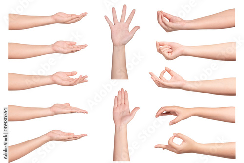 Set of woman hands  gesturing
isolated on white background.