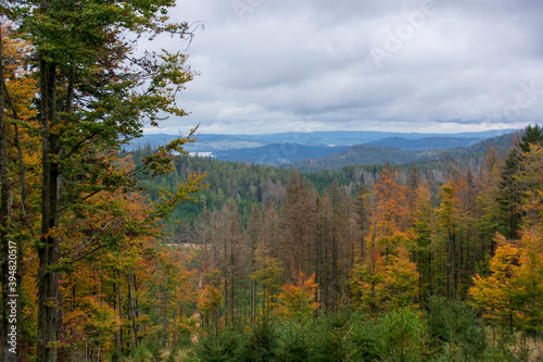 Views on the way to Plesne lake, Sumava national park, Czech republic
