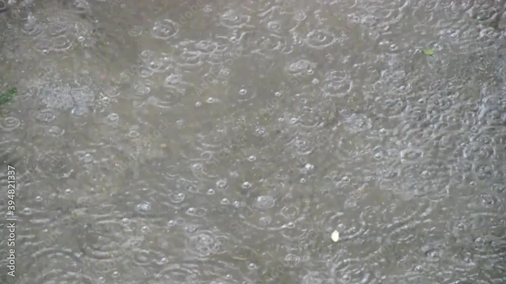 raindrops often fall into a large puddle, many bubbles appear on the surface of the water raindrops often fall into a large puddle, many bubbles appear on the surface of the water