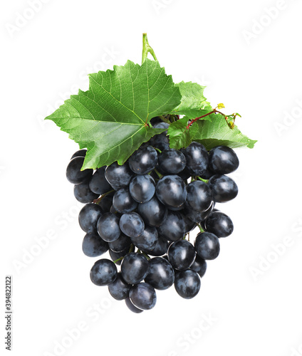 Bunch of fresh ripe juicy dark blue grapes with leaves isolated on white