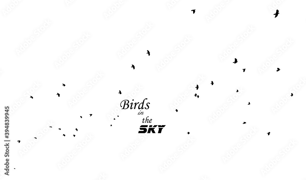A flock of flying birds. Vector illustration A flock of flying birds. Vector illustration