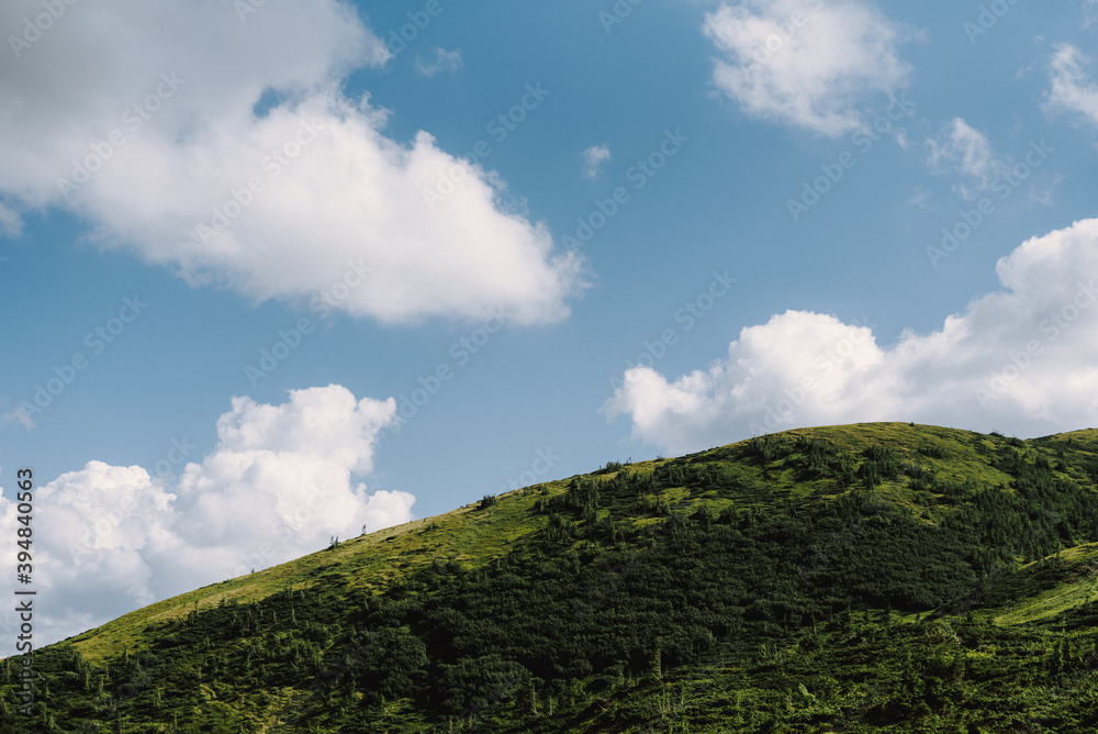 Obraz premium Landscape photo of the peak of mountain. Background. Green grass. Wild forest. Blue sky. Grey clouds