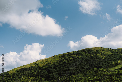 Landscape photo of the peak of mountain. Background. Green grass. Wild forest. Blue sky. Grey clouds